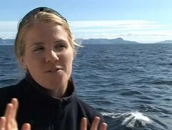 CLEAN: Whale watching in Norway News Clip