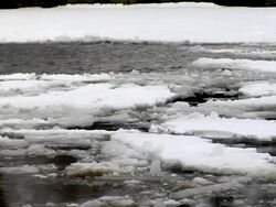 Ice floating on the water Stock Footage