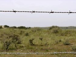 Barbed wire close-up, country border concept Stock Footage