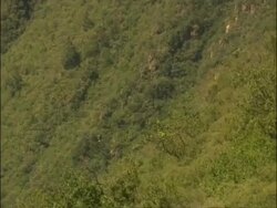 Pan right across from trees to curved section of Great Wall of China, Mutianyu, China Stock Footage