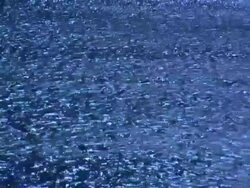 Water background with ripples. Progressive frames Stock Footage