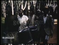 1950: RUBBER TAPPING: COLOR: VS Groups of farm workers walking on village road toward forest, carrying pails. WS Liberian worker making incisions in rubber tree bark for tapping. CU Making downward incision, spiraling around tree, w/ blade. Latex Instructional Video