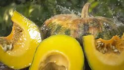 pumpkin and water splash slow motion on a green background Stock Footage