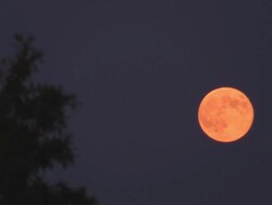 Super Moon Stock Footage