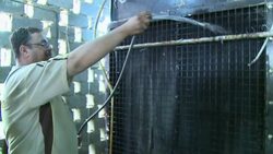 VOICED : Power starved Iraqis know their amps from News Clip