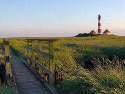 WS View of Westerhever lighthouse from grass field at sunset, North Frisian Wadden Sea / Westerhever, Schleswig Holstein, Germany Stock Footage