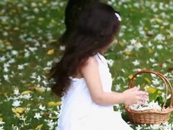 Girl picking flowers in a garden  Stock Footage