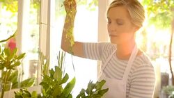 Florist arranging bouquet in flower shop Stock Footage