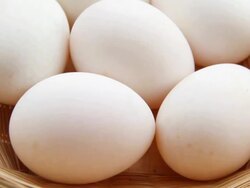 Eggs. Stock Footage