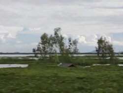 Flood train travel. Stock Footage