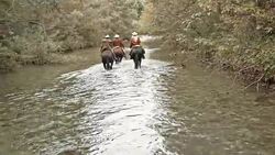 SLO MO DS Three riders riding horses in the river Stock Footage