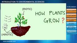 Introduction to Environmental Science Instructional Video