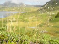 Beautiful Mountain Landscape Stock Footage