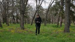 popular hobby Stock Footage