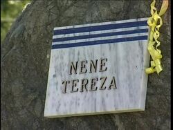 Catholics commemorate the centenary of Mother Teresa's birth News Clip