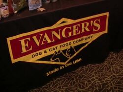 Evanger's Presents 'Passover Seder For Dogs' Hosted By Dog News Daily Stock Footage
