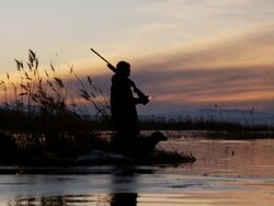 hunter and his dog on a pond Stock Footage