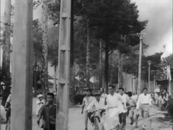 Riots in Saigon Stock Footage
