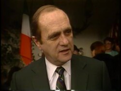 St Patrick's Day at Jimmy's Stock Footage