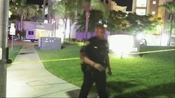 San Diego Witness: 'Really a Gruesome Scene' Instructional Video