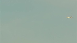 Deer in Richmond Park News Clip