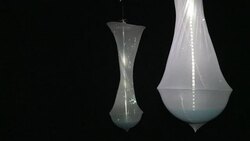 CLEAN : 3D printing used to make creepy crawly News Clip