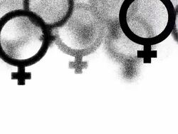 FEMALE : one purple, white back - (TRANSITION) Stock Footage