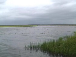 creek 2 Stock Footage