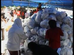 Bulldozers, aid, interior minister comment News Clip