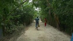A small road of a village on the banks of River Jamuna in rural Bangladesh with an avenue of Bamboo Stock Footage