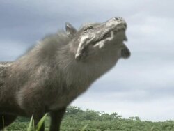 Low Angle tracking-right zoom-in - An aggressive beast shows its teeth in a computer-generated animation. / Denver, Colorado, USA Stock Footage
