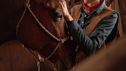 SLO MO Cowgirl stroking her horse's forehead Stock Footage