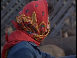 North Korea - Deer farming News Clip