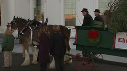 Melania Trump Welcomes WH Christmas Tree Instructional Video