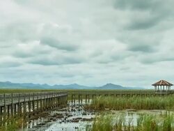 Time Lapse: Wood bridge in Khoa Sam Roi Yod Stock Footage