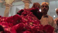 CLEAN : Where is Bilawal Pakistan party campaign News Clip