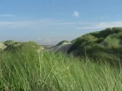 Dune on the island Amrum Stock Footage