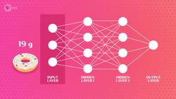 Neural Networks and Deep Learning Instructional Video