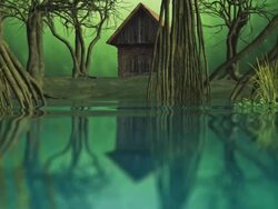 Magic forest. Stock Footage