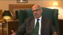 Reformist says election results "decimated" uprising liberals News Clip