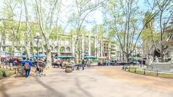 Street market in Plaza Constituciï¿½n (Constitution Square), also known as Plaza Matriz, Montevideo downtown, Uruguay Stock Footage