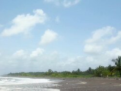 Tropical Beach (PAL) Stock Footage