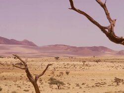 Landscape in the Namib Desert Stock Footage