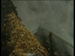 VOICER: Chicken cull continues as four more people catch bird flu virus News Clip