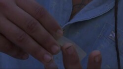 Chile: Protest demands legalisation of marijuana News Clip