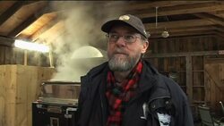 Climate change threatens sugar maple trees News Clip