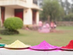 Group of kids playing holi festival in a lawn  Stock Footage