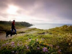 WS SLO MO POV View of young man walking his dog on trail by ocean / Cape Blanco State Park, Oregon, United States Stock Footage