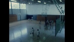 News Item (02fa57c7-d75a-8276-b72d-48b08a941f69) Instructional Video