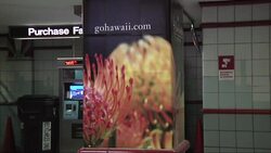 After weeks of snow, winter-weary Americans are looking for a break as sunny destination marketers capitalize on their cold-weather suffering. (Feb. 27) News Clip